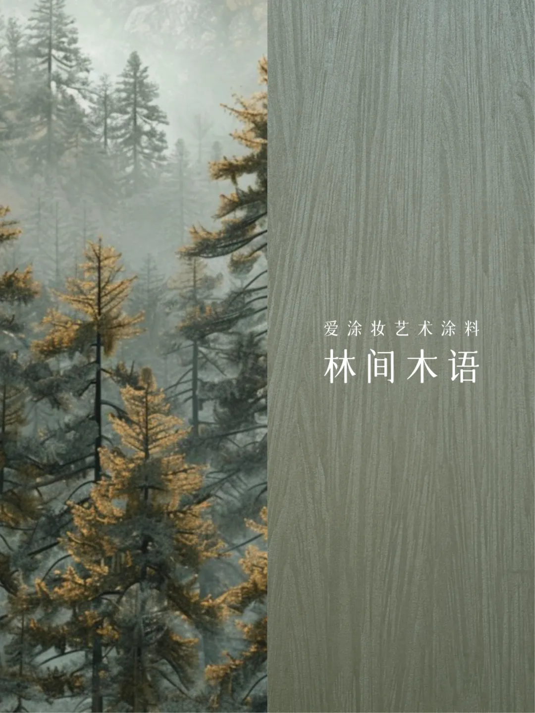 2025六月色彩|苔绿 - 让家成为诗意栖居地 艺术涂料灵感图
艺术涂料立体纹理
艺术涂料产品