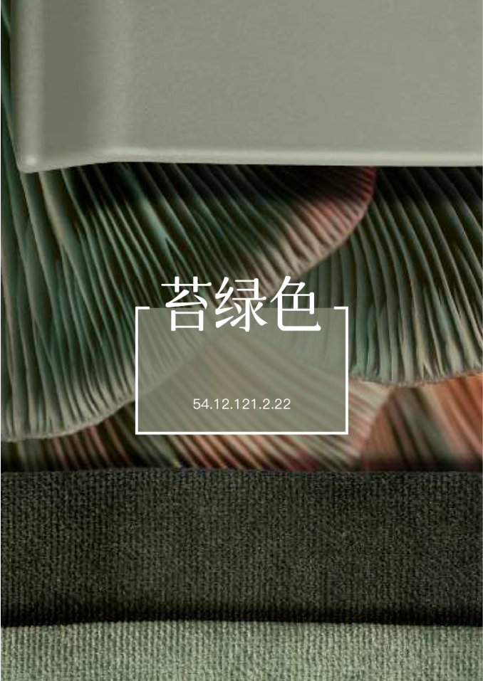 2025 June Color of the Month｜Moss Green — Transform Your Home into a Sanctuary