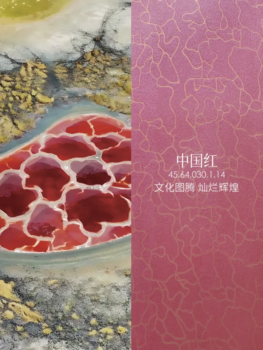 iLuvVivid活动:中国传统色彩与现代家居的完美邂逅 艺术涂料灵感图
艺术涂料立体纹理
艺术涂料产品