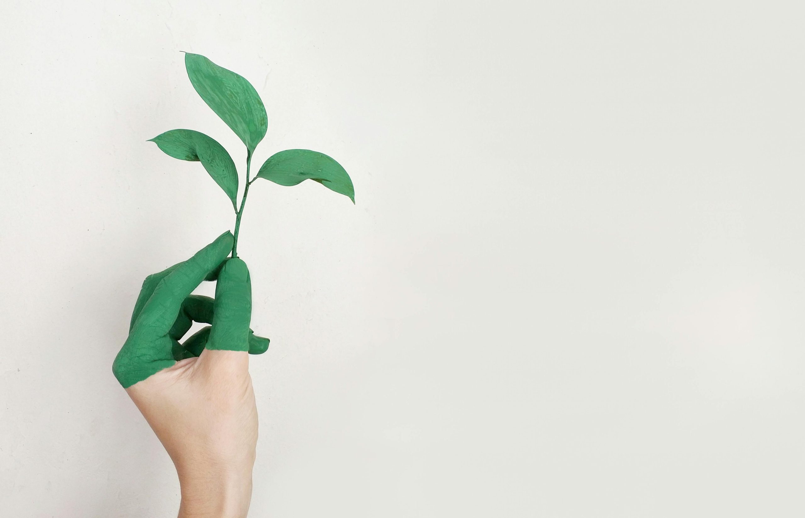 TECH HUB｜iLuvVivid Green Sustainability Efforts