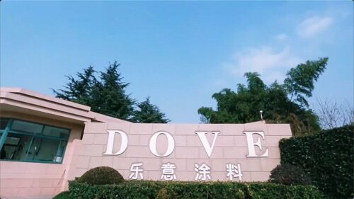 ABOUT ILUVVIVID｜Introduction to Dovechem Group