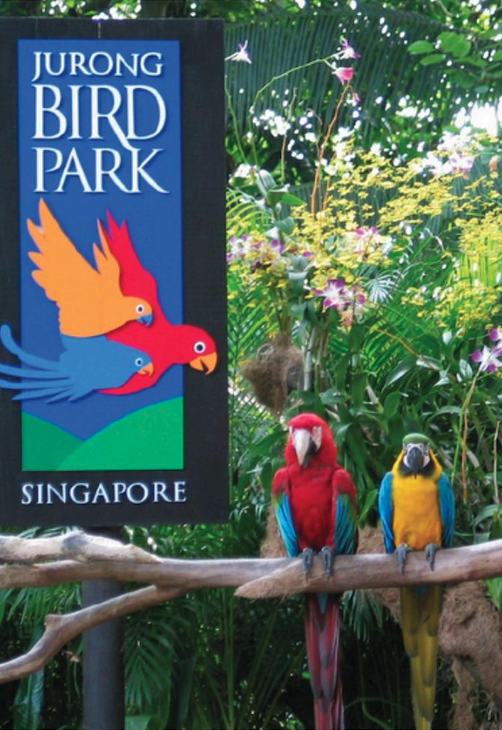 ILUVVIVID PROJECTS｜AMUSEMENT PARKS – SINGAPORE ZOO & BIRD PARK