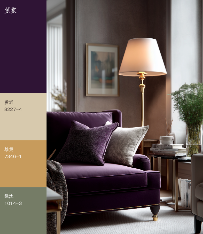 November 2025 Color｜The 