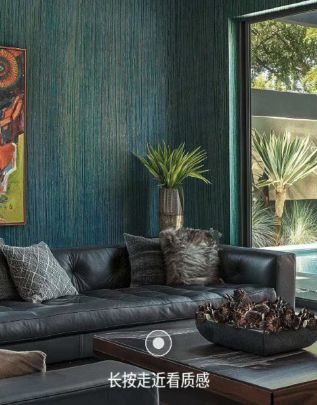 Art Paint 'HAUTE COUTURE Series' | When luxury no longer clamors, what kind of 'bespoke narrative' does the wall need?
Art paint effect image
Art paint texture image
Art paint home image
Art paint three-dimensional texture
Art paint product