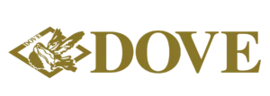 logo t edited 1 300x107.png